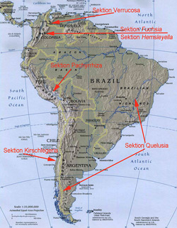 Verbreitungsgebiete in Südlamerika