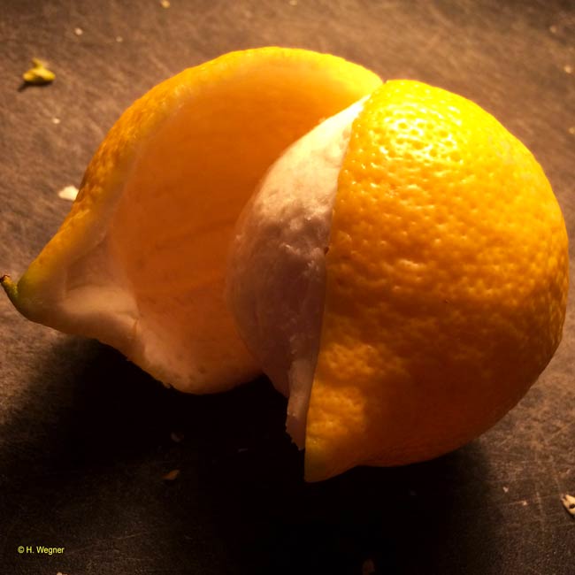 Zitrone für Zitronat schälen